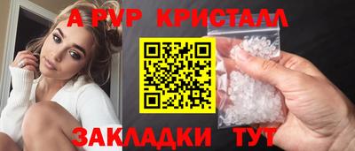 мет Кингисепп