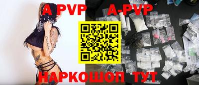 мет Кингисепп