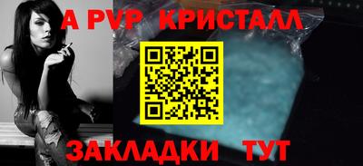 мет Кингисепп