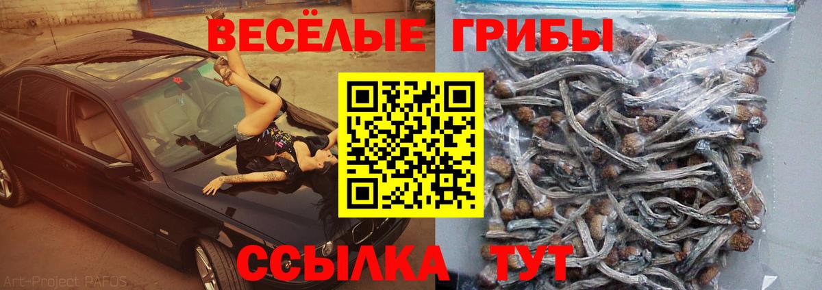 Псилоцибиновые грибы Psilocybine cubensis  Галлюциногенные грибы мухоморы  Вход с VPN  Красный Сулин 